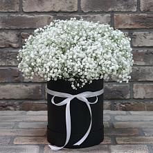 Композиция коробка гипсофил #REPLACE_PRED# Мишкино Республика Башкортостан Цветочная композиция из Гипсофила в шляпной коробке #REPLACE_PRED# Мишкино Республика Башкортостан