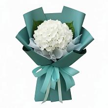 Букет Лёгкое облако в Мишкино Республика Башкортостан Букет цветов из:  Гортензия в Мишкино Республика Башкортостан